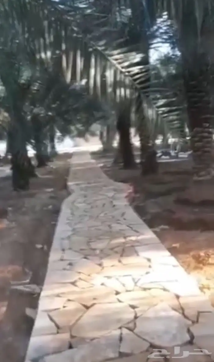 اعمال التراث القديم الطين .وبنا الحجر 4