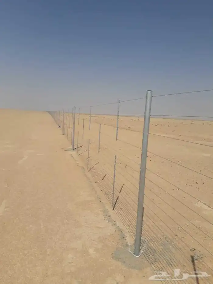 شبوك مزارع الاحساء 7