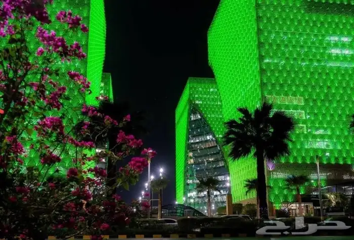 احتفالات اليوم الوطني 0