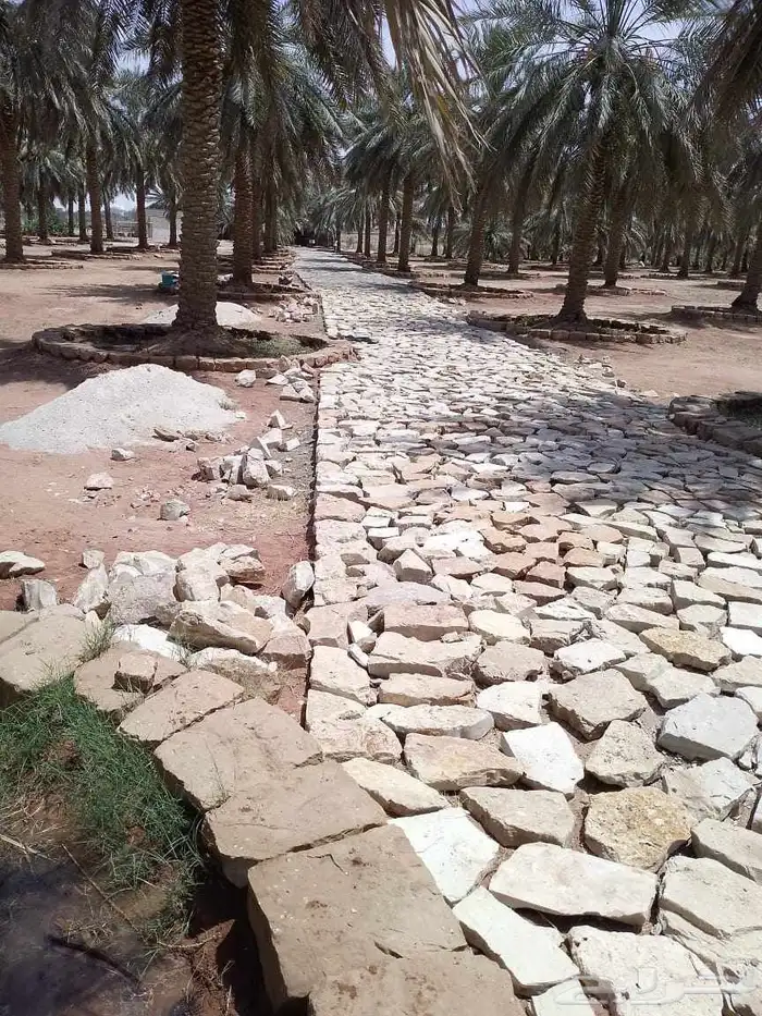 مقاول يمني لجمع انواع شغل التراث أو الشبوك أو بناء الحجر 0