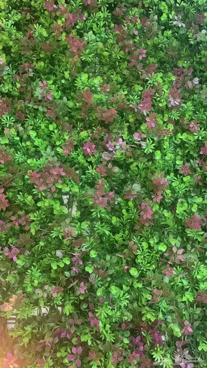 تنسيق حدائق التميز 1