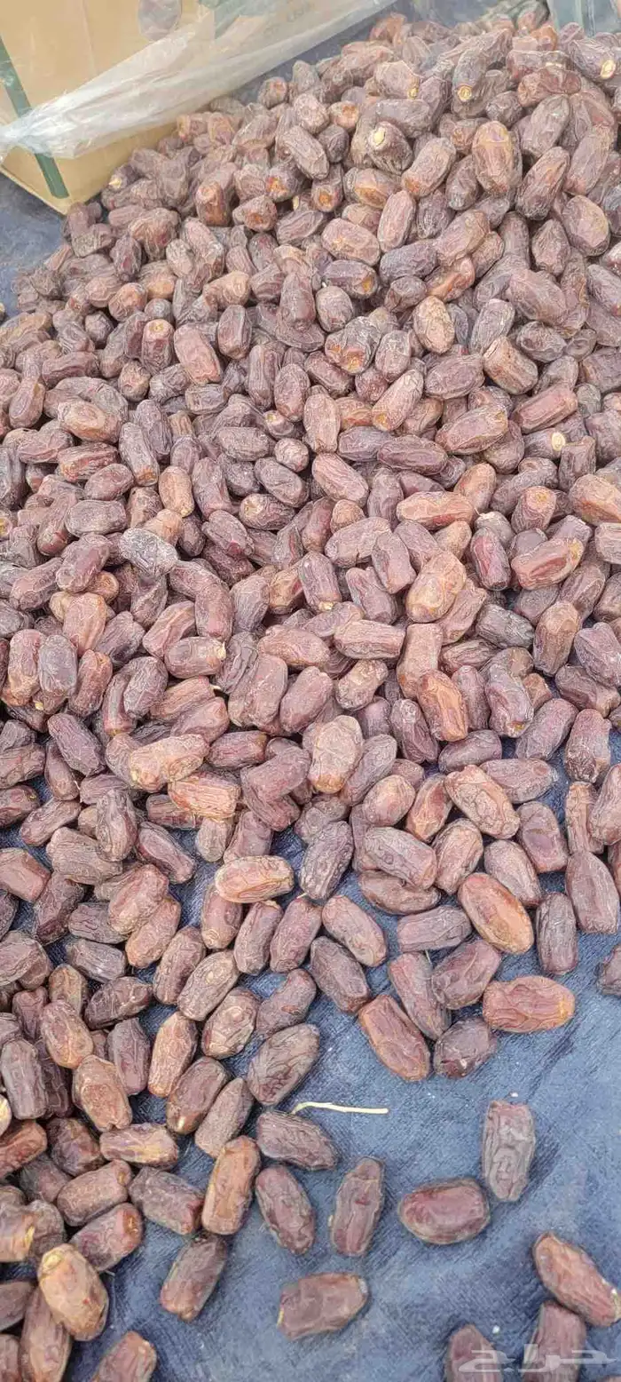 خضري فاخر الموقع الغاط كميه مفتوحه 2
