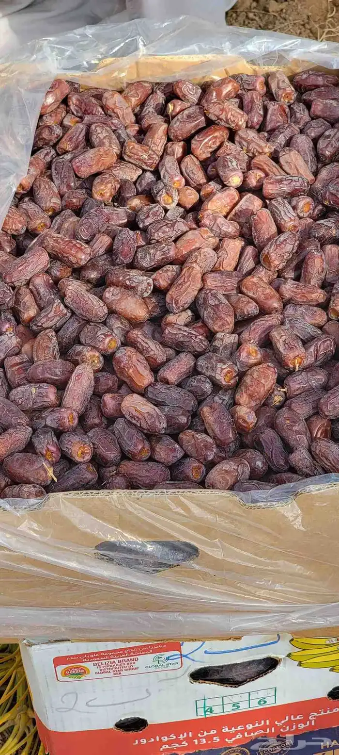 خضري فاخر الموقع الغاط كميه مفتوحه 3