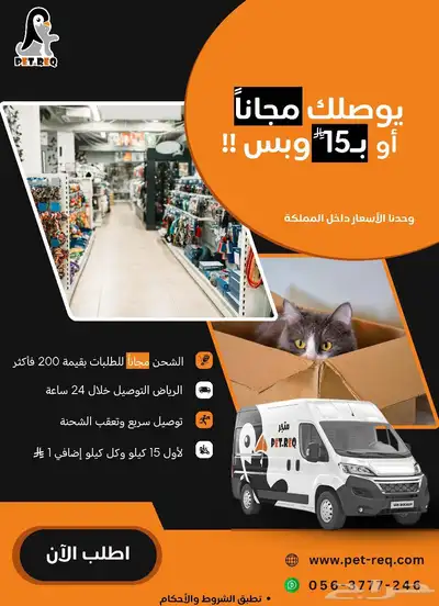 مستلزمات القطط والحيوانات الأليفة 0