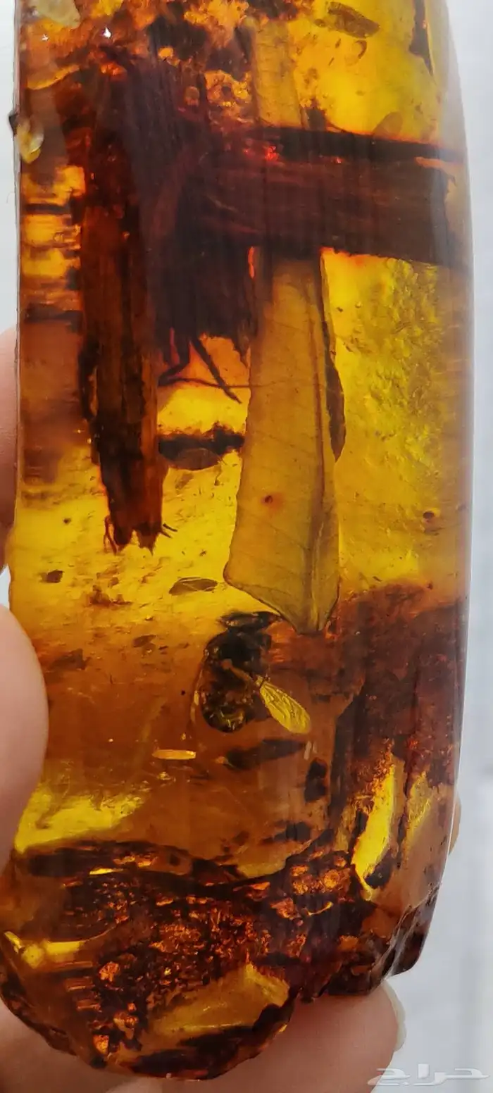 حجر قديم وثمين 4