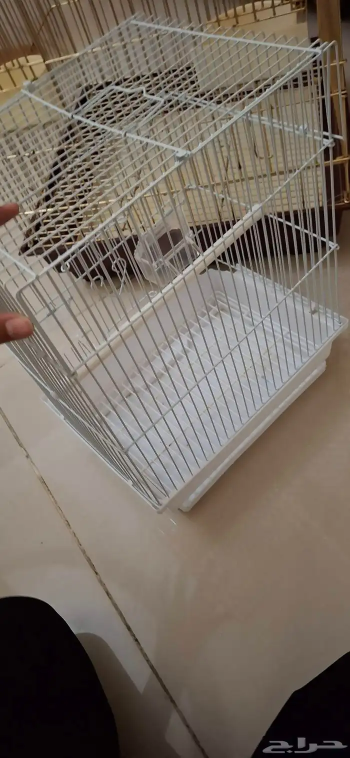 اقفاص للبيع 5