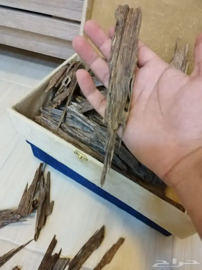 عود هندي ناجلاند زورا 2
