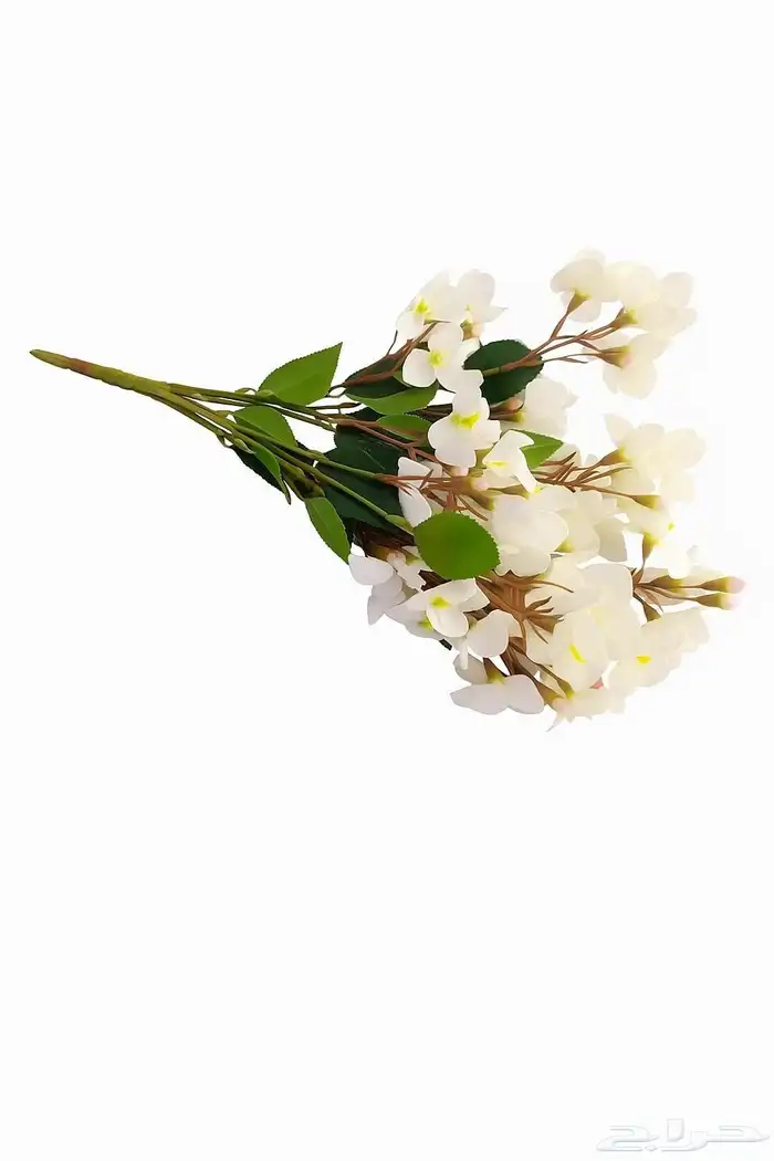 زهور وجداريات ولوحات فنيه وفازات 48