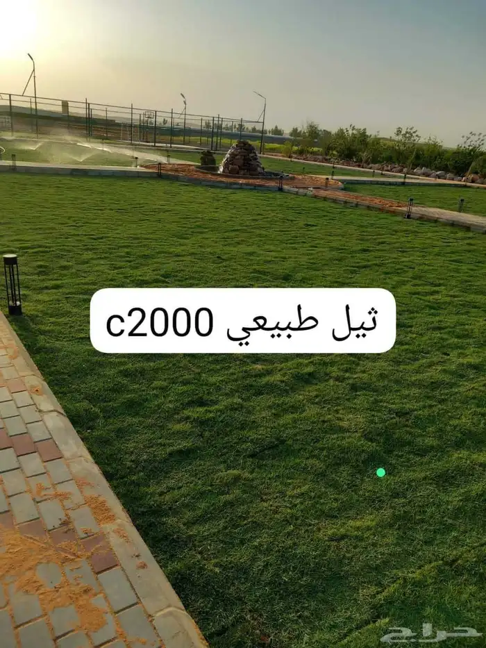 زراعة الثيل وتنسيق الحدائق والملاعب 1