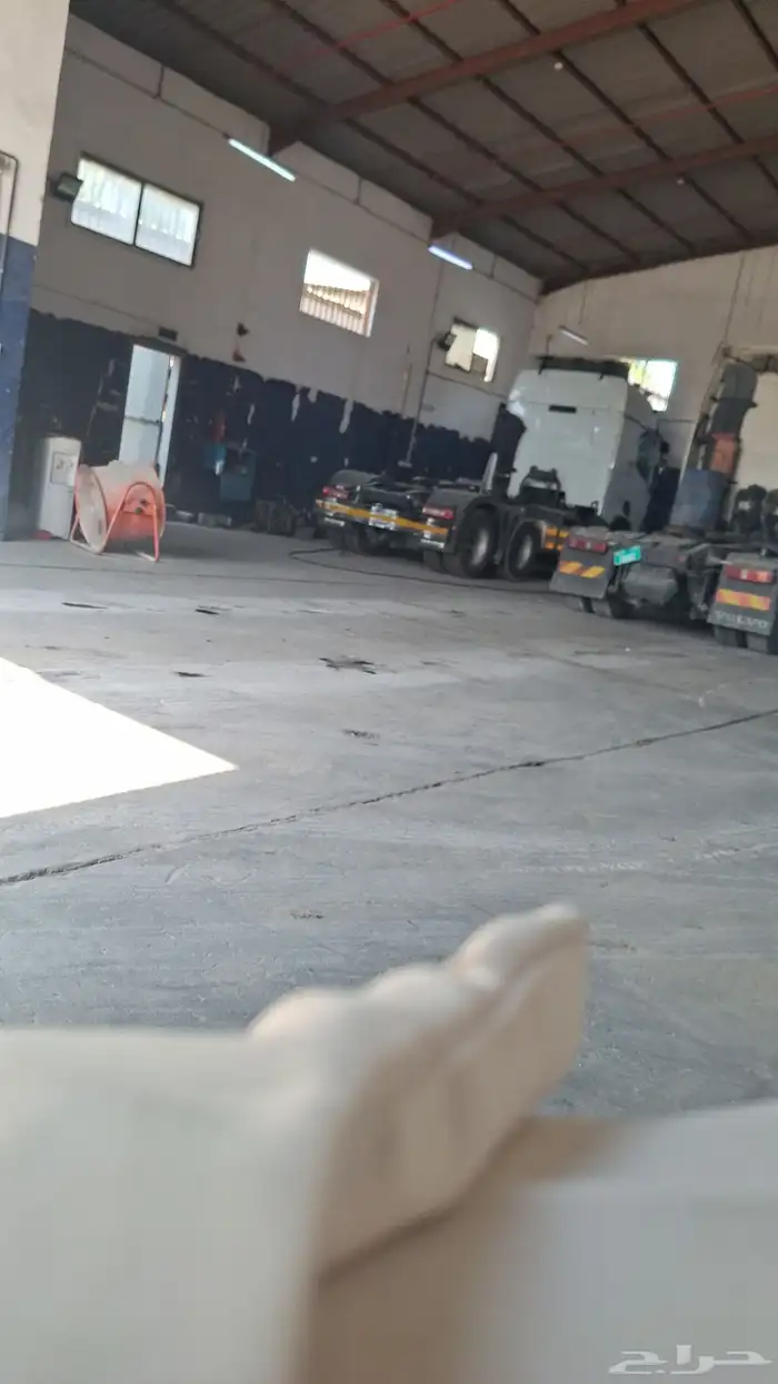 لوبد في الحفر الباطن قيصومه صداوي 3