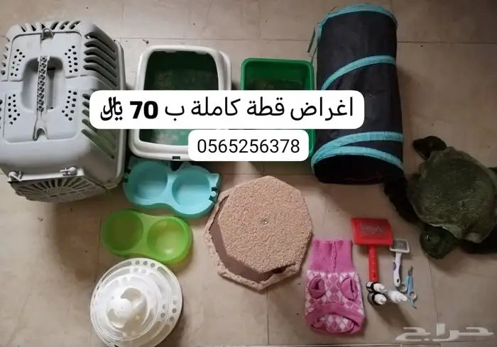 بوكس قطط 2