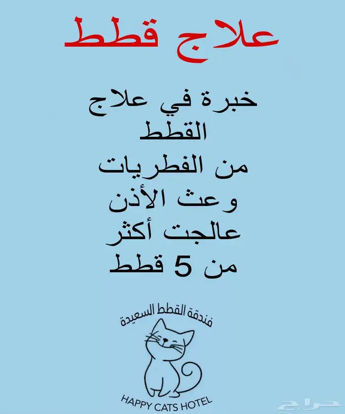 علاج قطط فطريات وعث الأذن 0