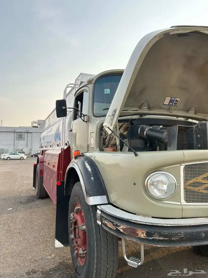 عايدي بوز 86 صنف 31