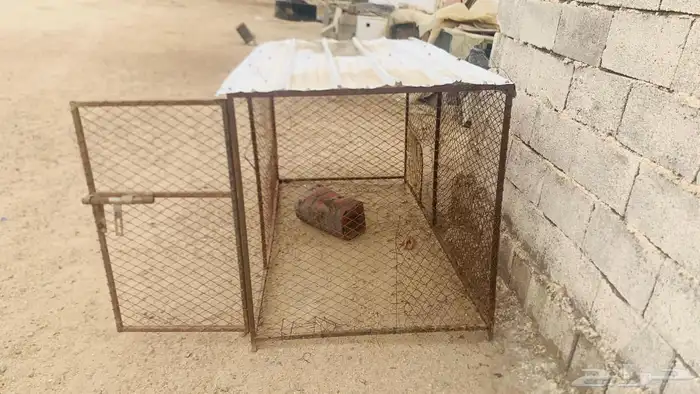 للبيع شبك دجاج 0