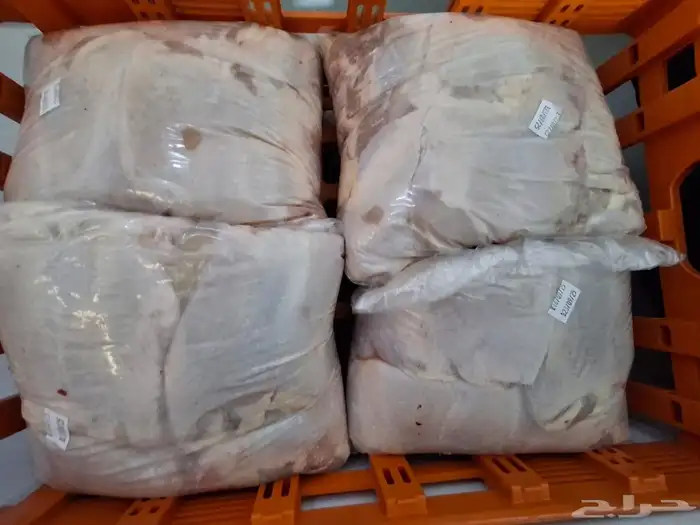 دجاج بلدي شاورما فرش للمطاعم و المناديب في المدينة المنورة 0