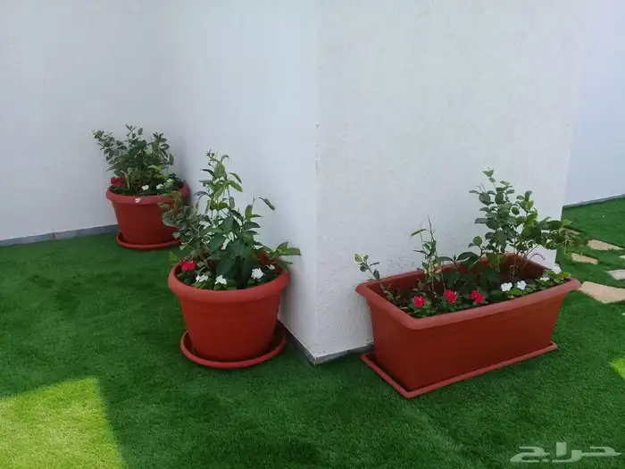 تصميم وتنسيق الحدائق الاحساء 4