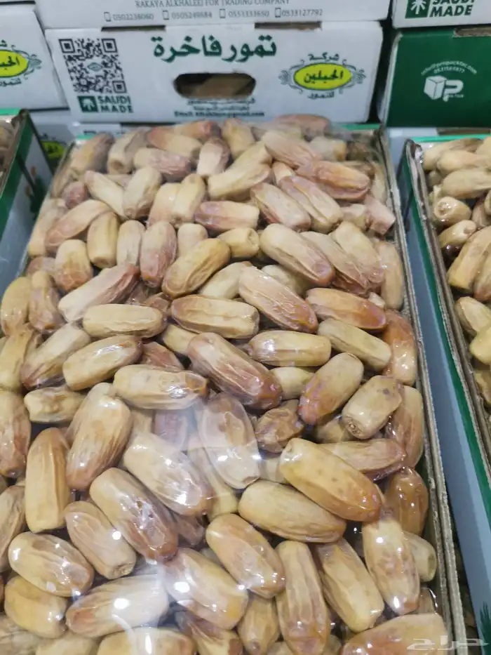 تمر بياضة نجران 0