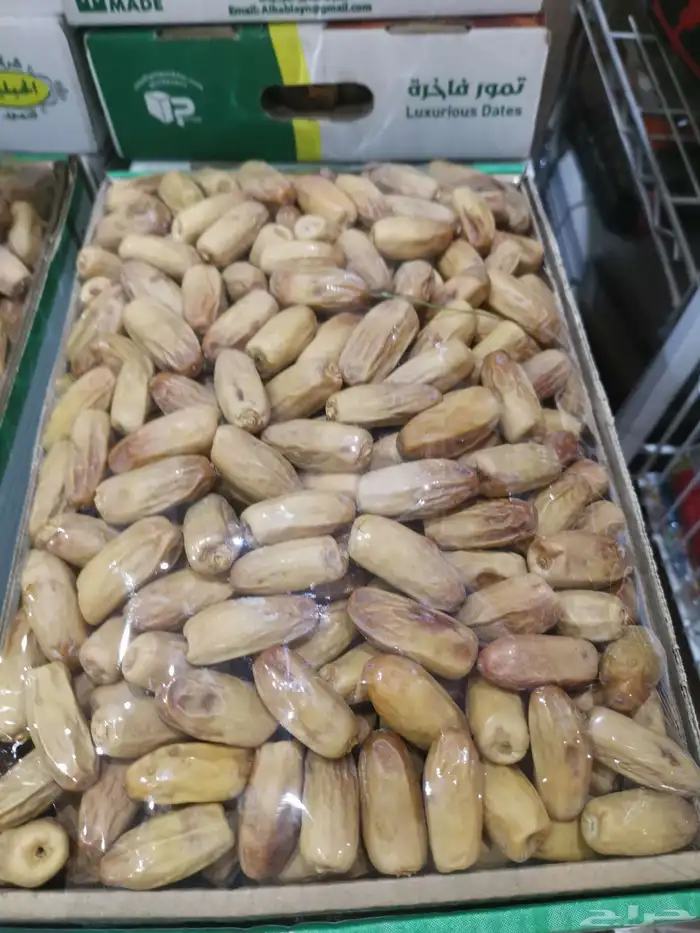 تمر بياضة نجران 1