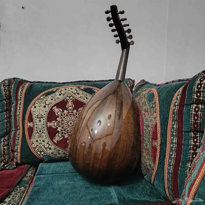 عود نظيف للبيع 0