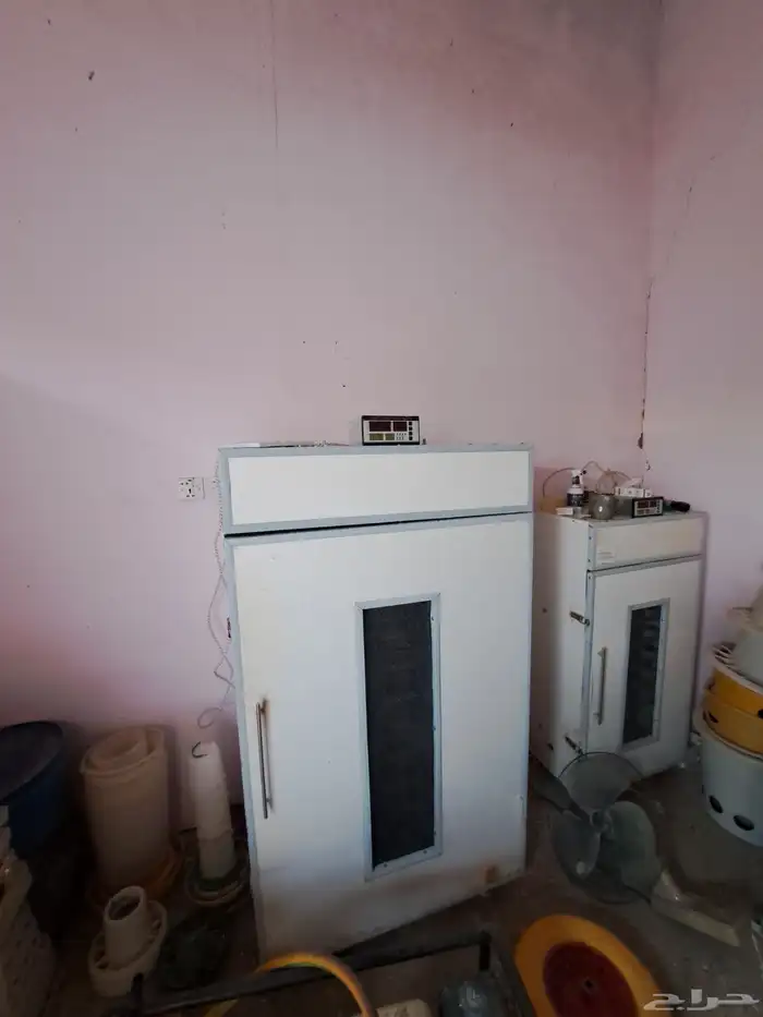 للبيع فقاسات تماتيكيه العدد 2 1584بيضه 525بيضه حمام جميع 7