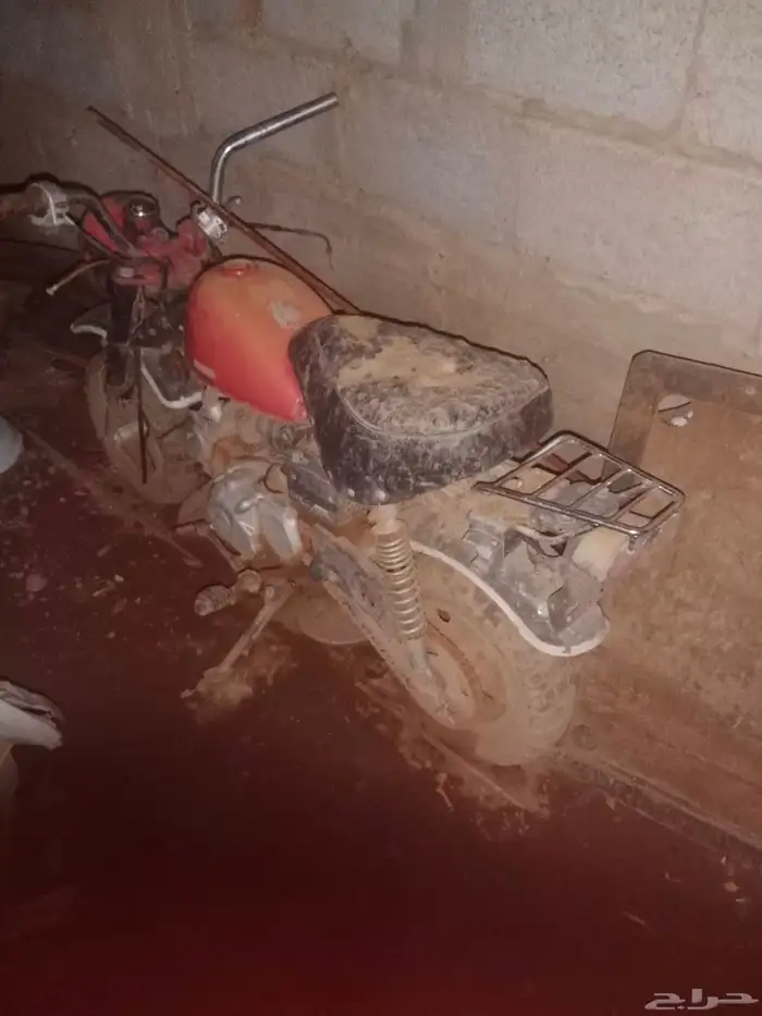 دبب هذا عليه 300 ريال 0