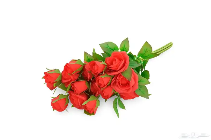 زهور وجداريات ولوحات فنيه وفازات 42