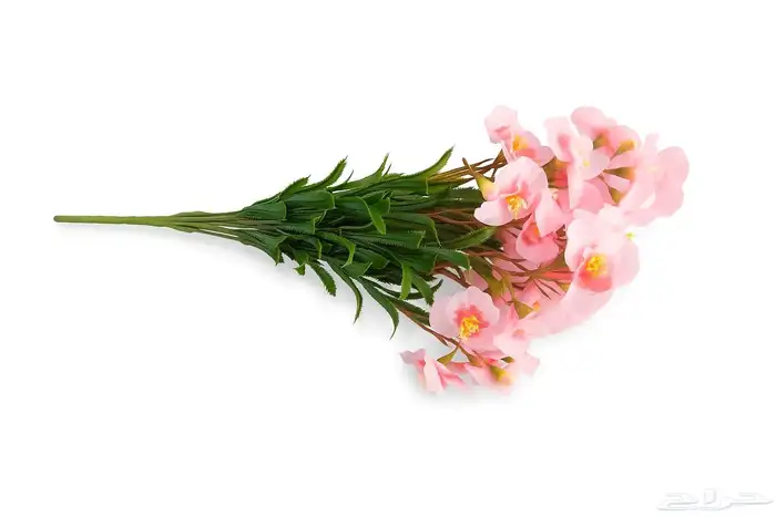 زهور وجداريات ولوحات فنيه وفازات 55
