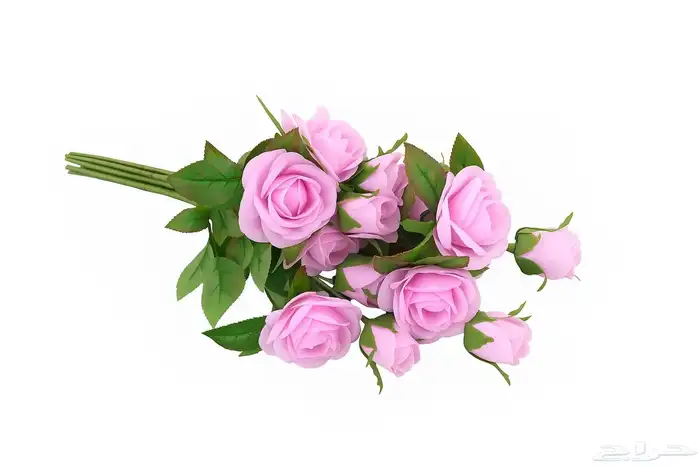 زهور وجداريات ولوحات فنيه وفازات 40