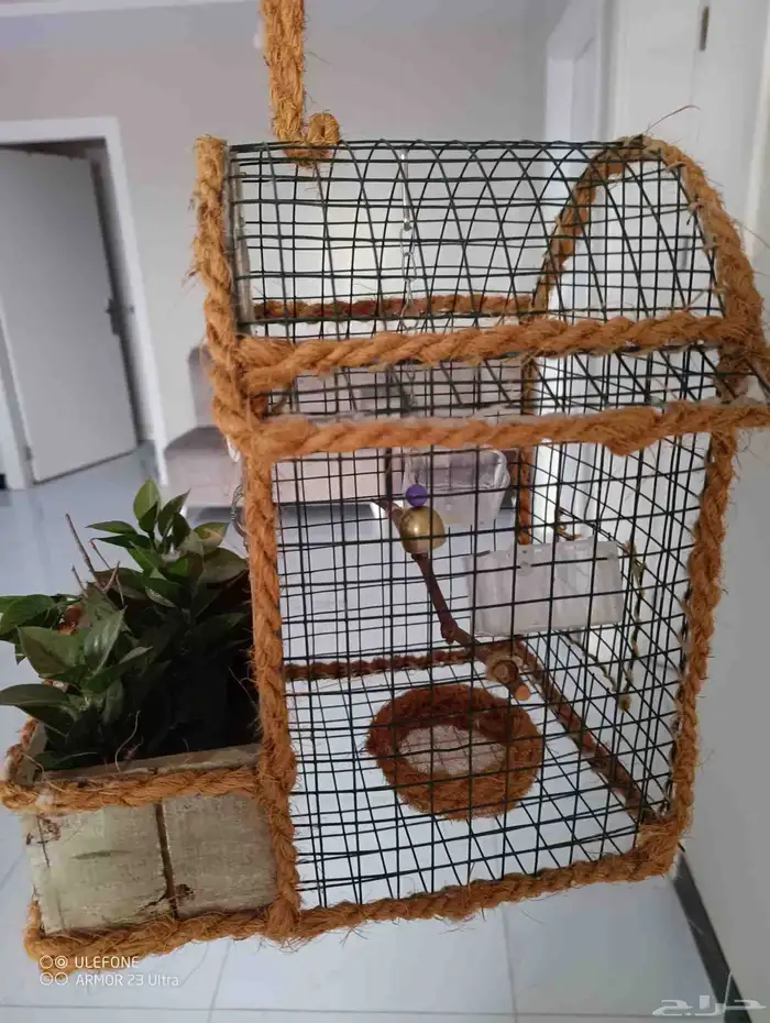 بيت الطيور - قطعة عرض للبيع 2