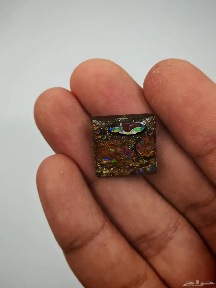 مزاد بولدر اوبال استرالي من اندر النوادر بشهادة معتمدة دوليا 4