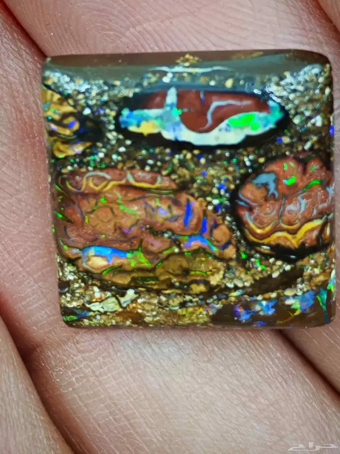 مزاد بولدر اوبال استرالي من اندر النوادر بشهادة معتمدة دوليا 7