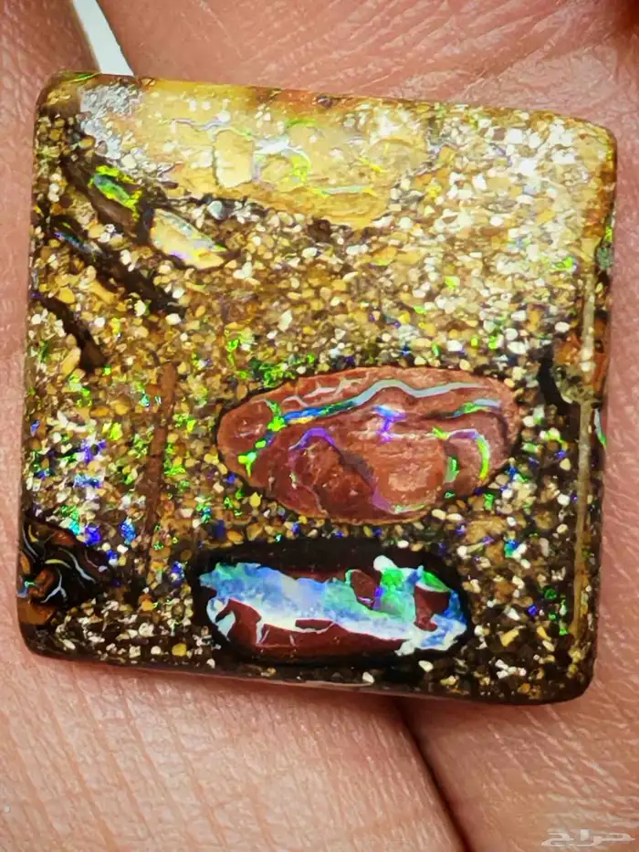 مزاد بولدر اوبال استرالي من اندر النوادر بشهادة معتمدة دوليا 9