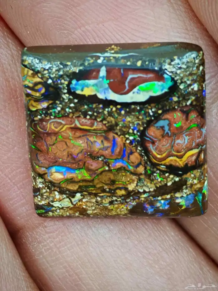 مزاد بولدر اوبال استرالي من اندر النوادر بشهادة معتمدة دوليا 6