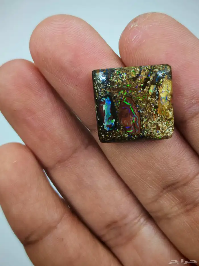 مزاد بولدر اوبال استرالي من اندر النوادر بشهادة معتمدة دوليا 3