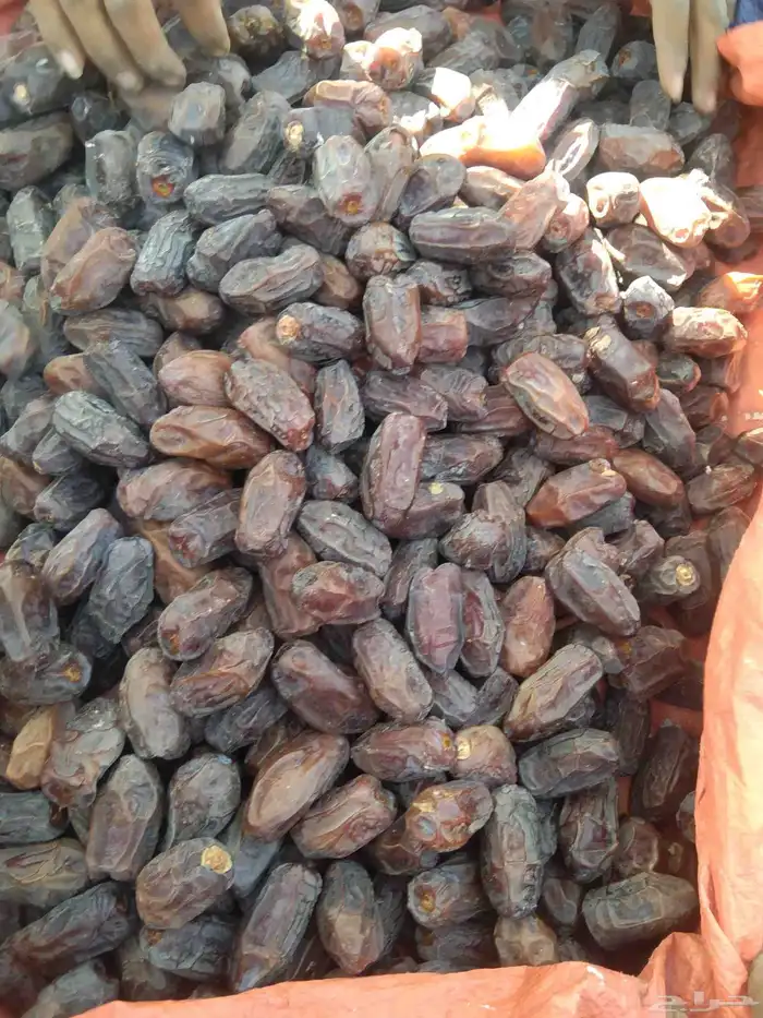 خضري جامبو 8طن 2