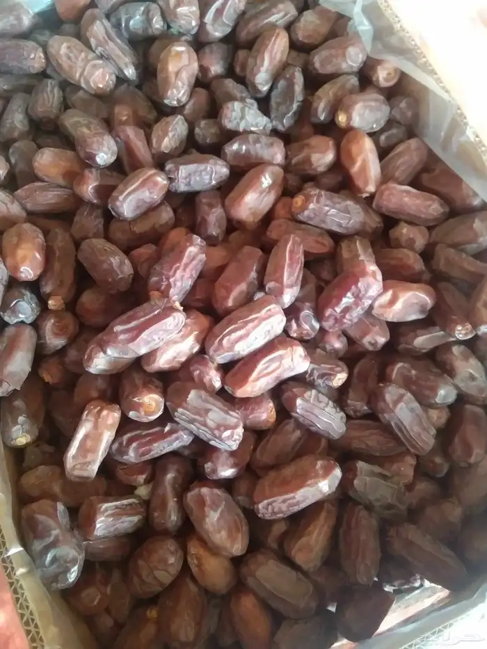 خضري جامبو 8طن 1