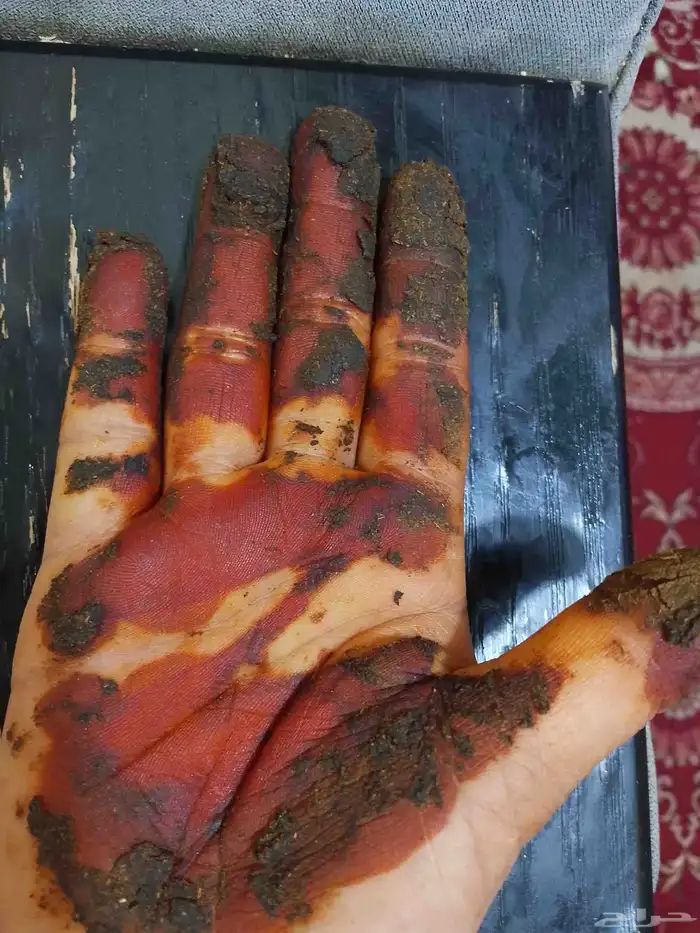 بيعت حنا طبعي 4