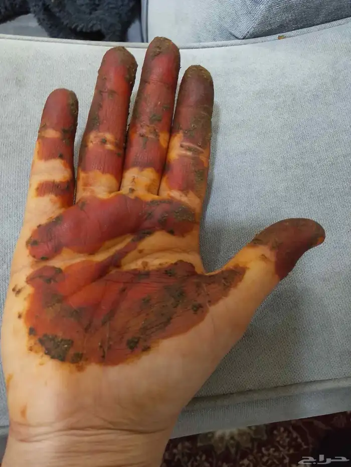 بيعت حنا طبعي 2