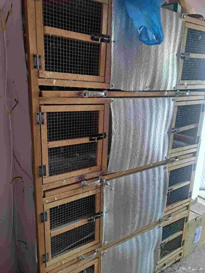 للبيع فقاسات تماتيكيه العدد 2 1584بيضه 525بيضه حمام جميع 2