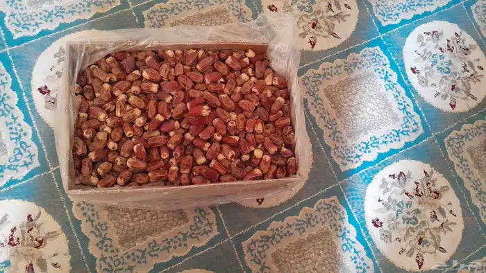 تمر صقعي درجه اولى عضوي 4