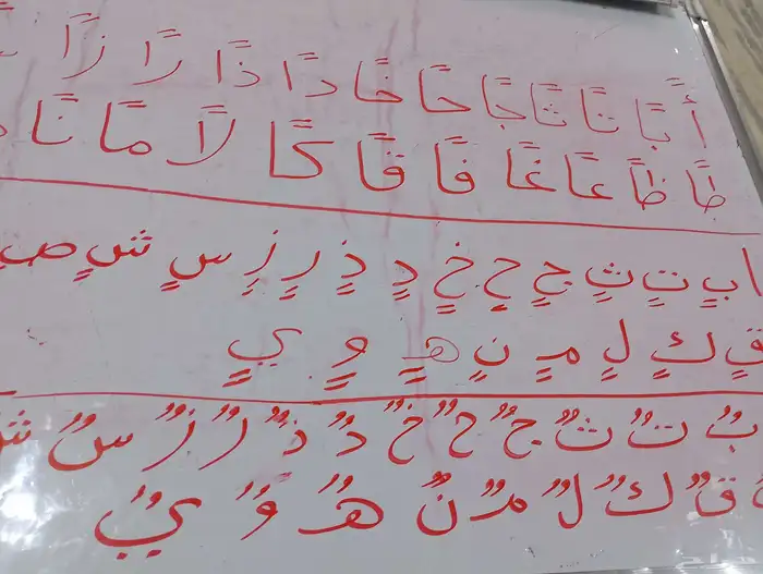 معلم تأسيس ومتابعة جميع المواد لجميع المراحل الدراسية 3