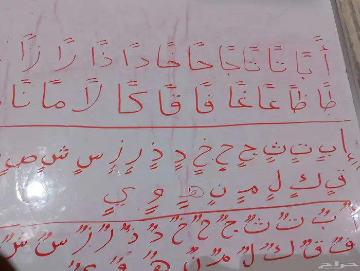 معلم تأسيس ومتابعة جميع المواد لجميع المراحل الدراسية 2