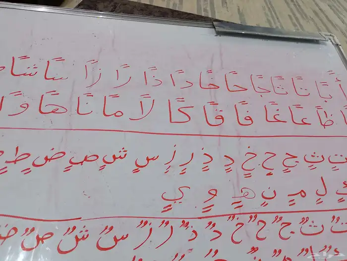 معلم تأسيس ومتابعة جميع المواد لجميع المراحل الدراسية 1