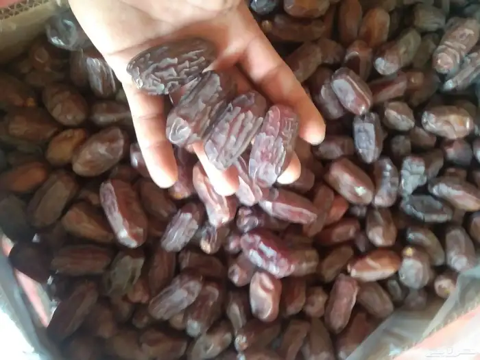 خضري جامبو 8طن 0