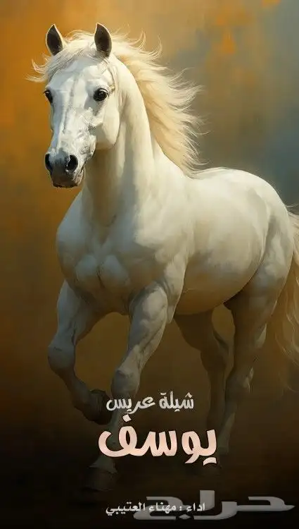 تنسيق شيلات وزفات وتنفيذ قصائد جديده 3