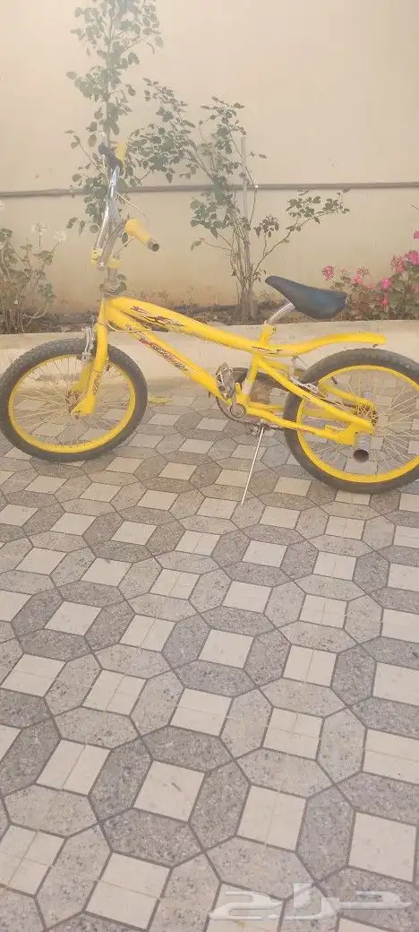 سيكل كوبرا اصفر على السوم 0