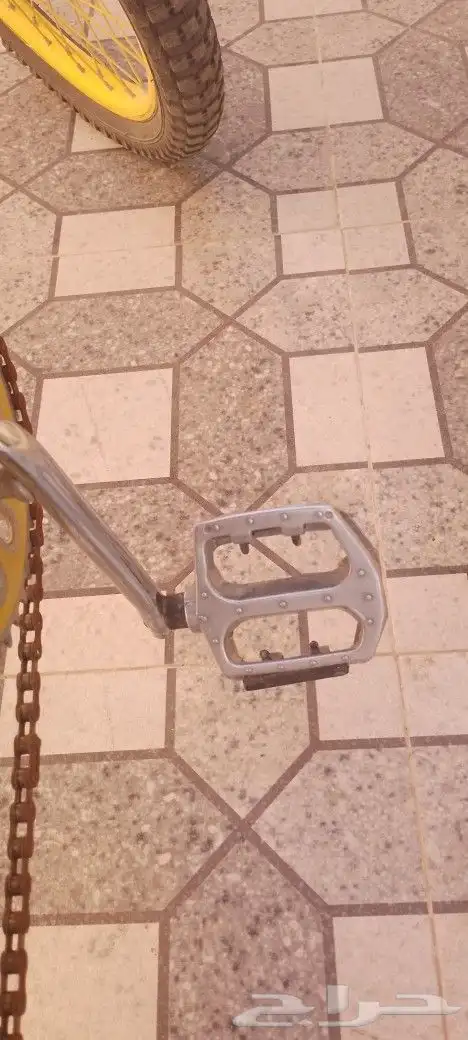 سيكل كوبرا اصفر على السوم 8