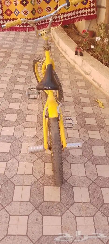 سيكل كوبرا اصفر على السوم 1