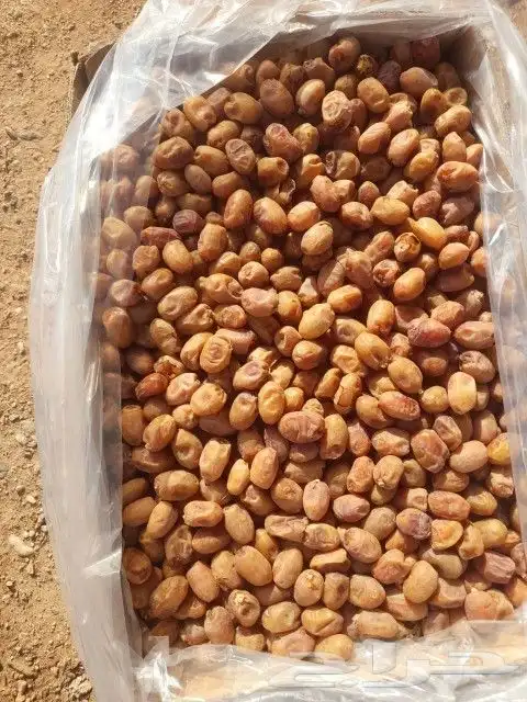 تمر خلاص 0