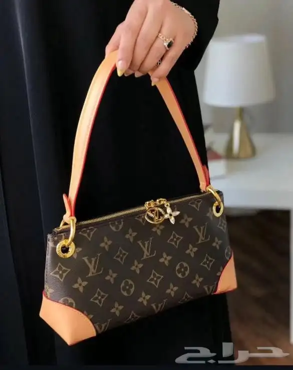 شنط لويسفيتون ماستر 25